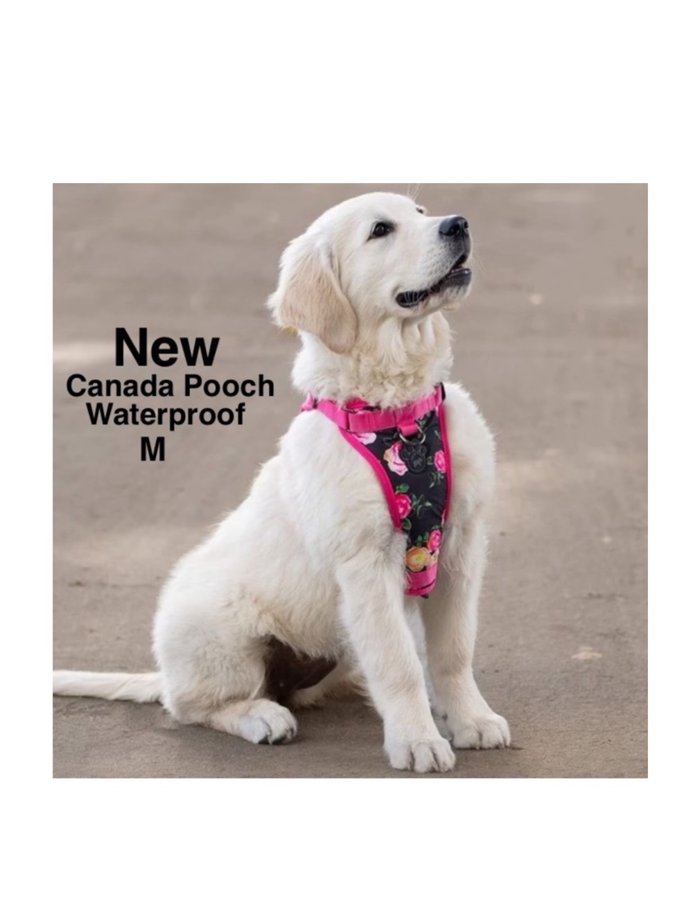 New Canada Pooch The Everything Harness Water-Resistant Medium w/tags Floral⭐️